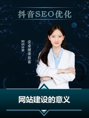 新云讯网络-抖音seo搜索优化排名
